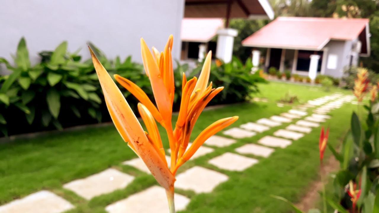 Arcadia Resort Alibaug Alībāg Exteriör bild